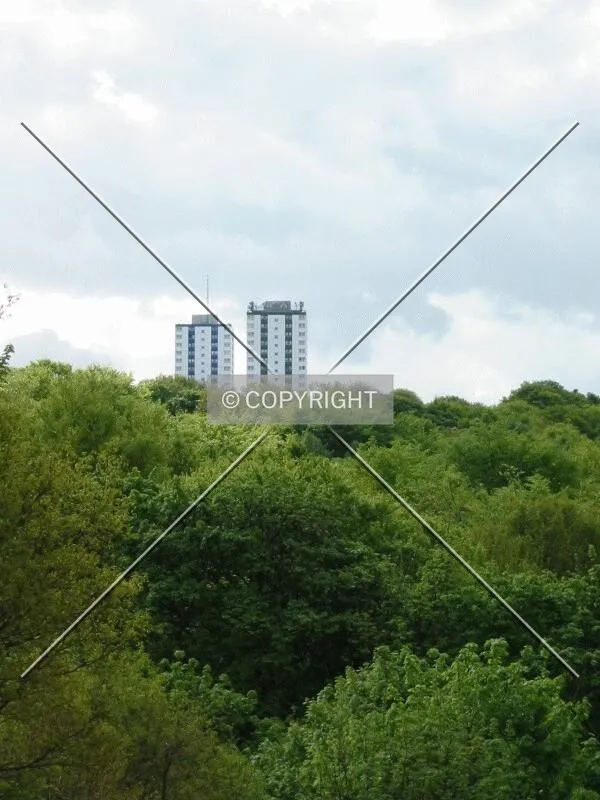 View over Rollestone Wood from Gleadless Road