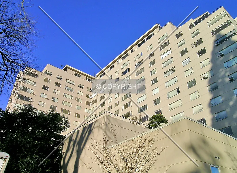 Photo 652-691-495