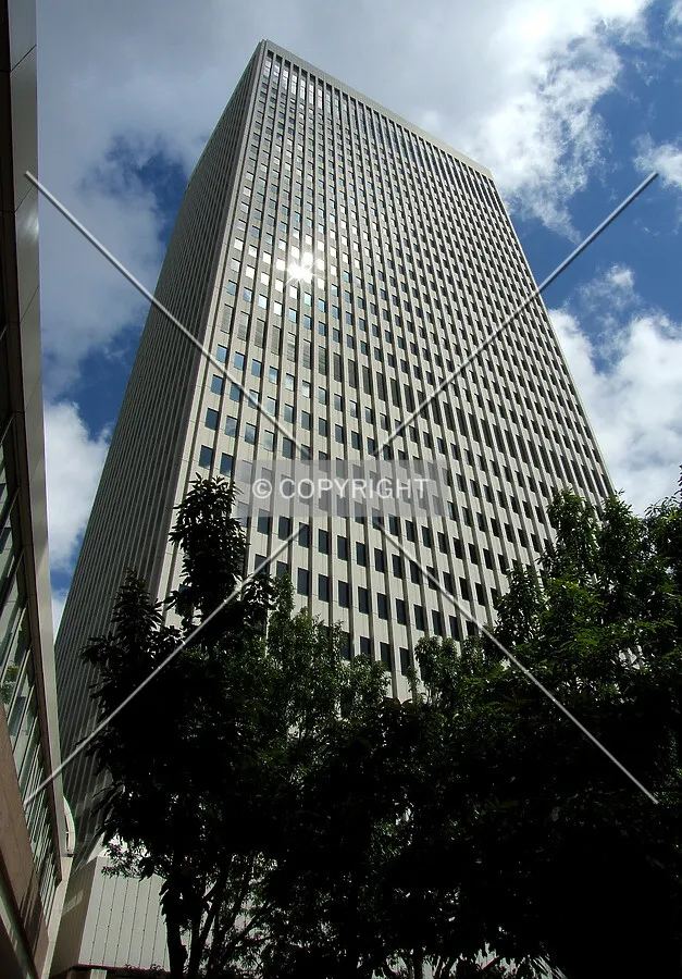 View from the south