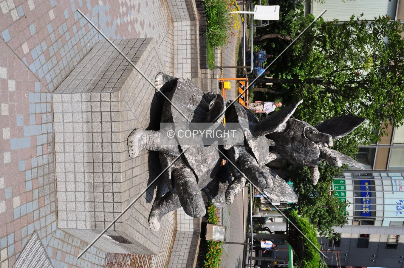 Photo 652-749-079
