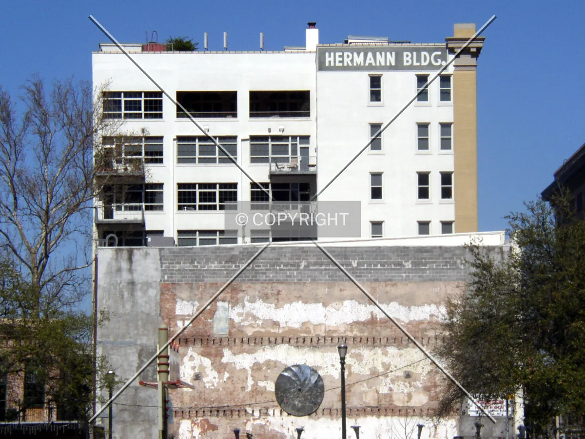 View from the south