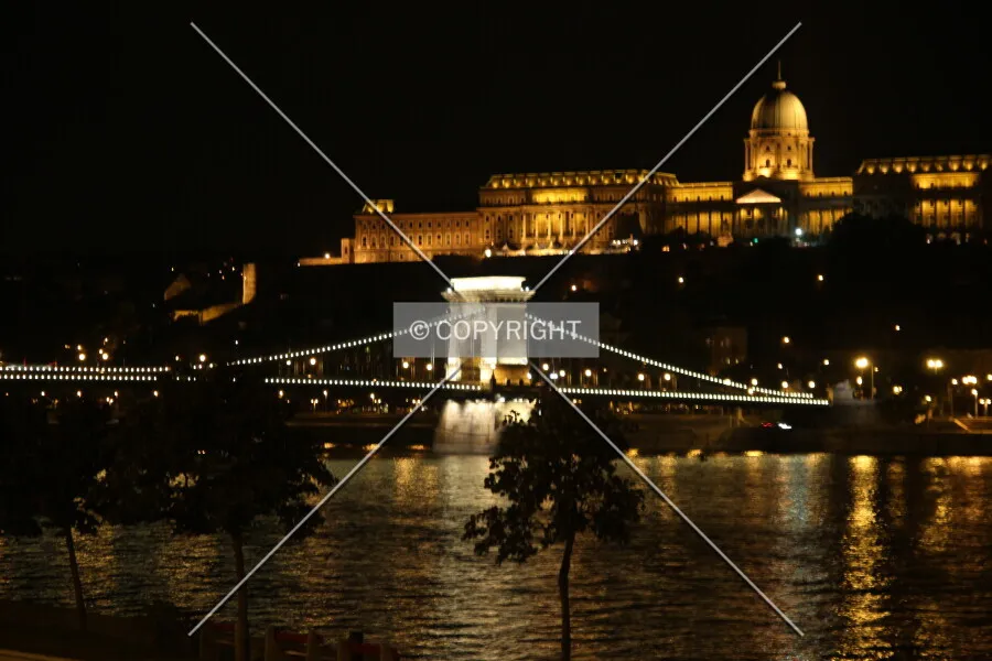 Photo 654-984-755