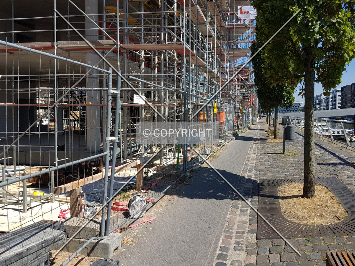 Photo 655-241-885