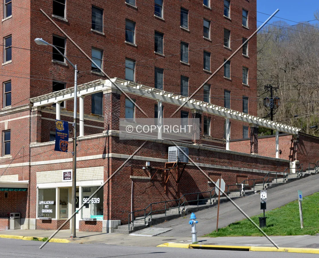 Roof trellis from the east