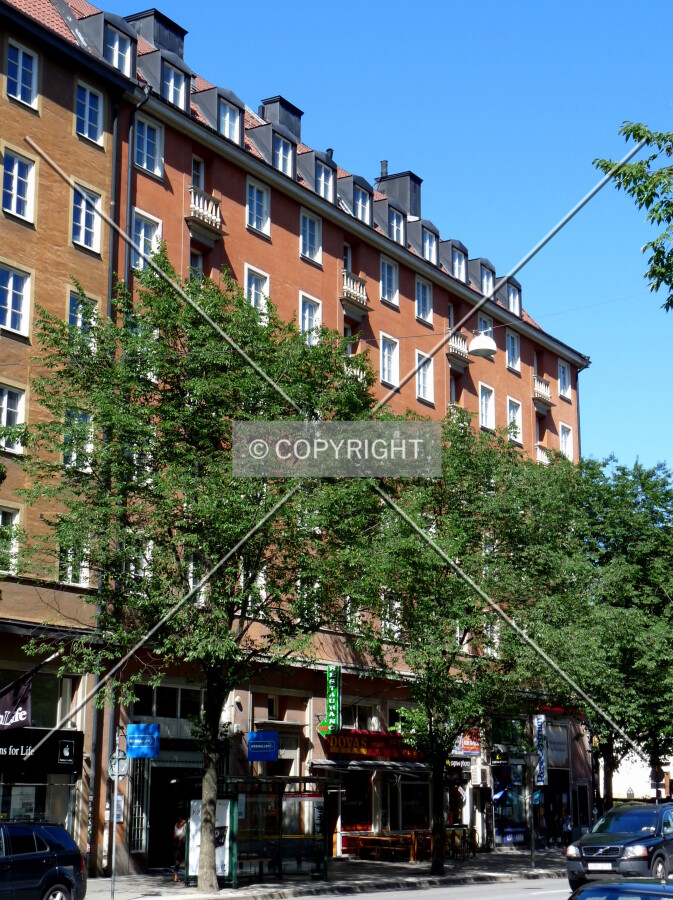 View from across the street
