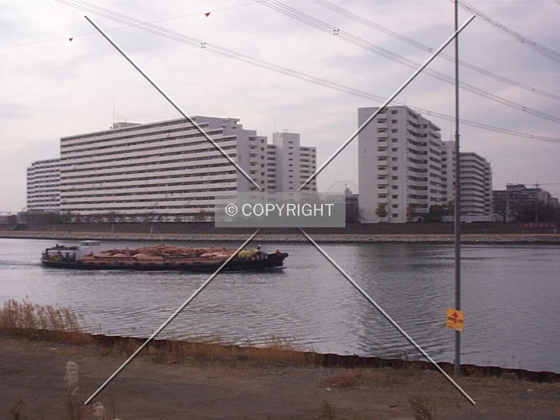 Photo 655-464-133