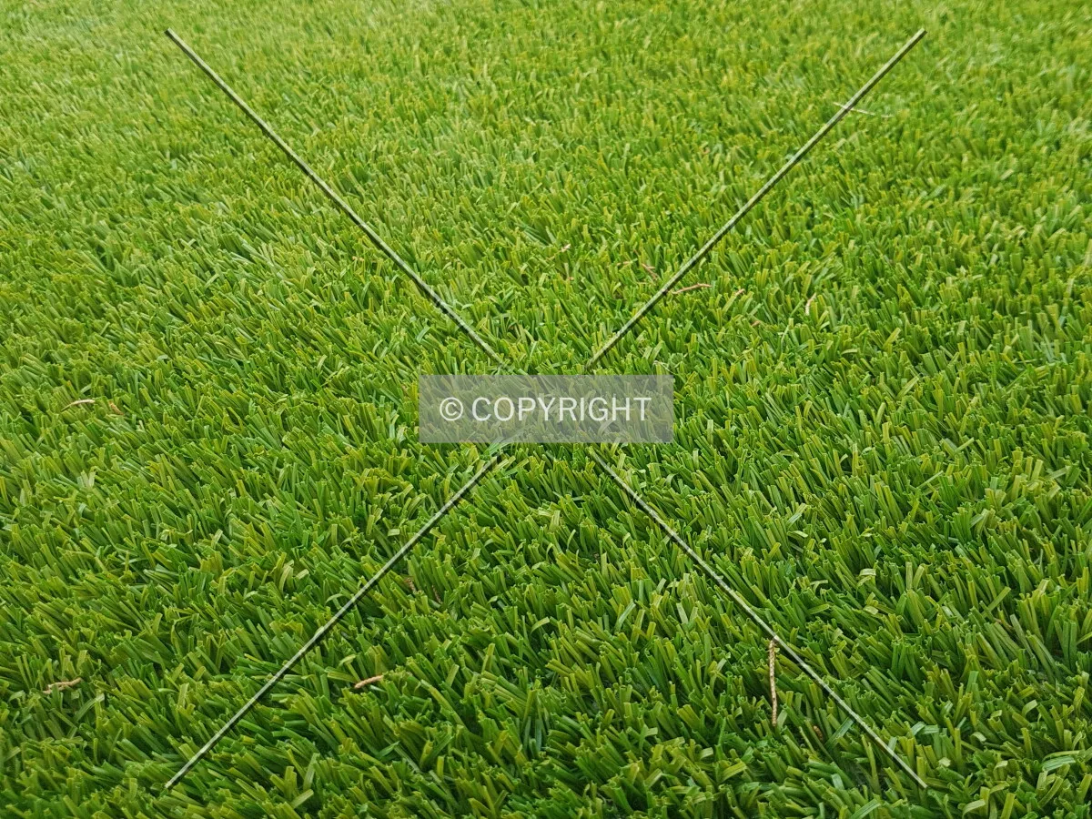 Photo 655-678-083