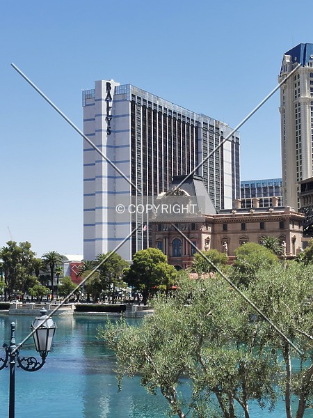 Photo 655-711-913
