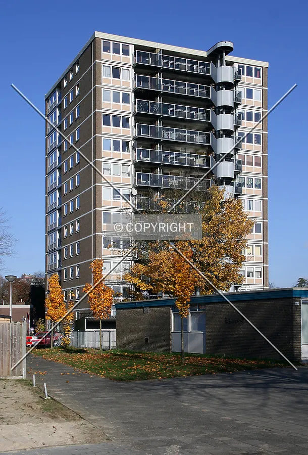 View from Meeuwenstraat