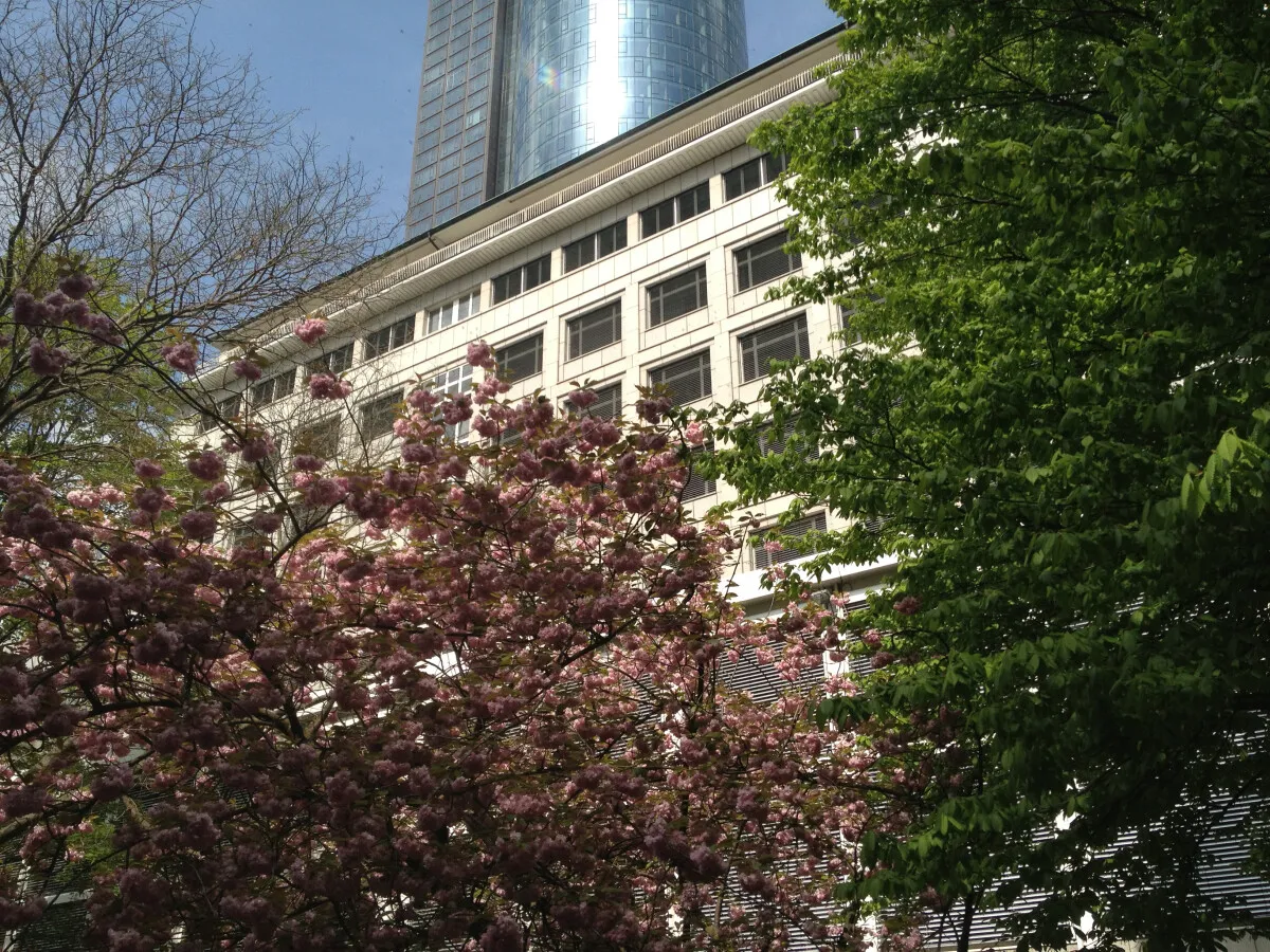 Photo 656-055-880