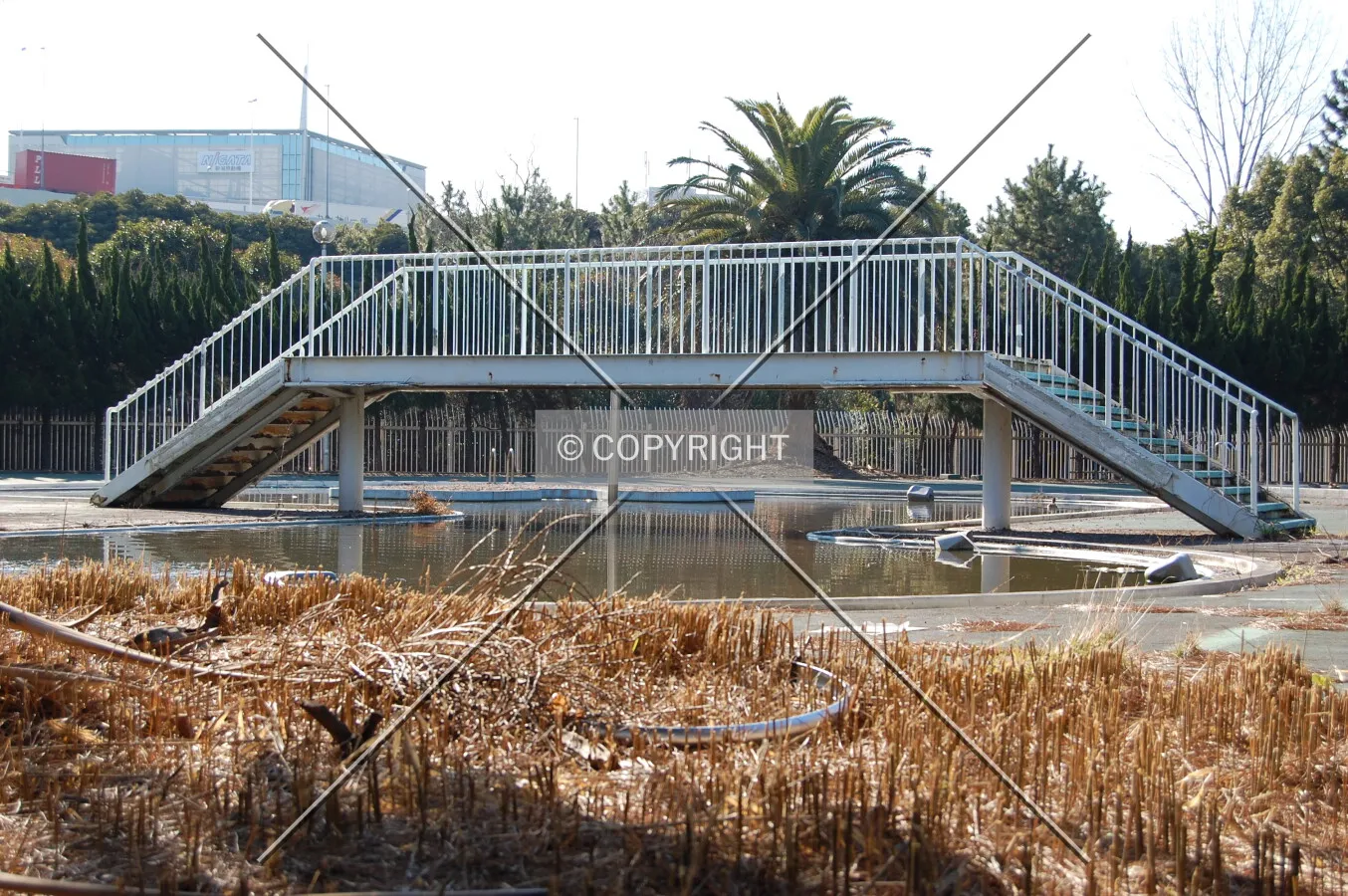 Photo 656-114-766