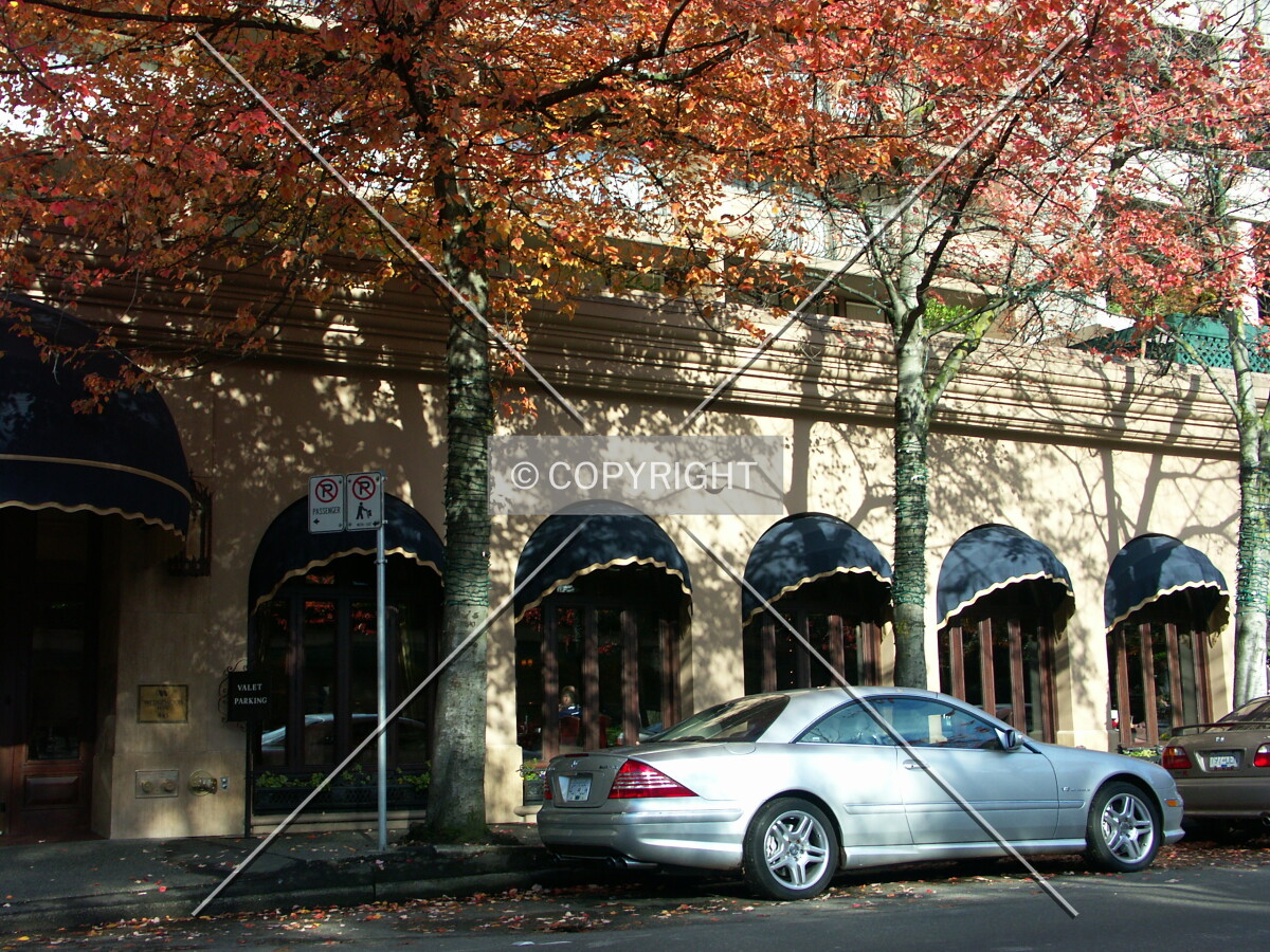 Wedgewood on Hornby