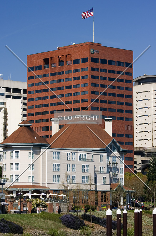 View from River Place