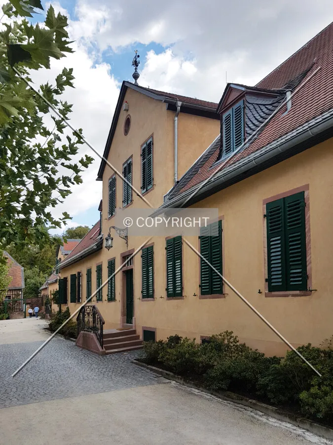 Schloß Wolfsgarten in 2018
