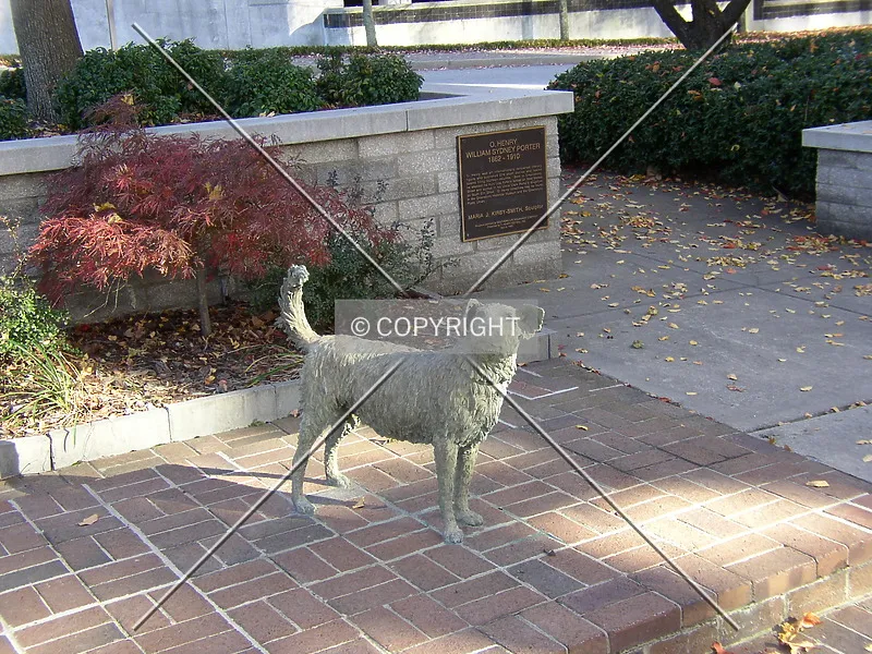 Photo 657-594-679