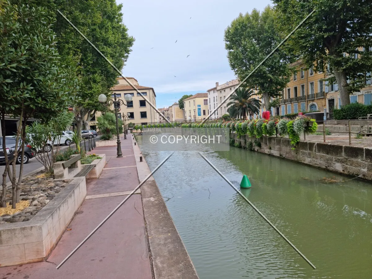 Photo 065-765-217