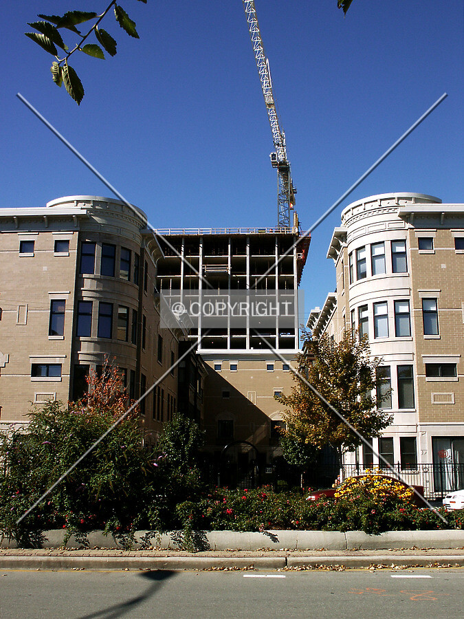 Rising over a townhouse courtyard on Indiana Avenue
