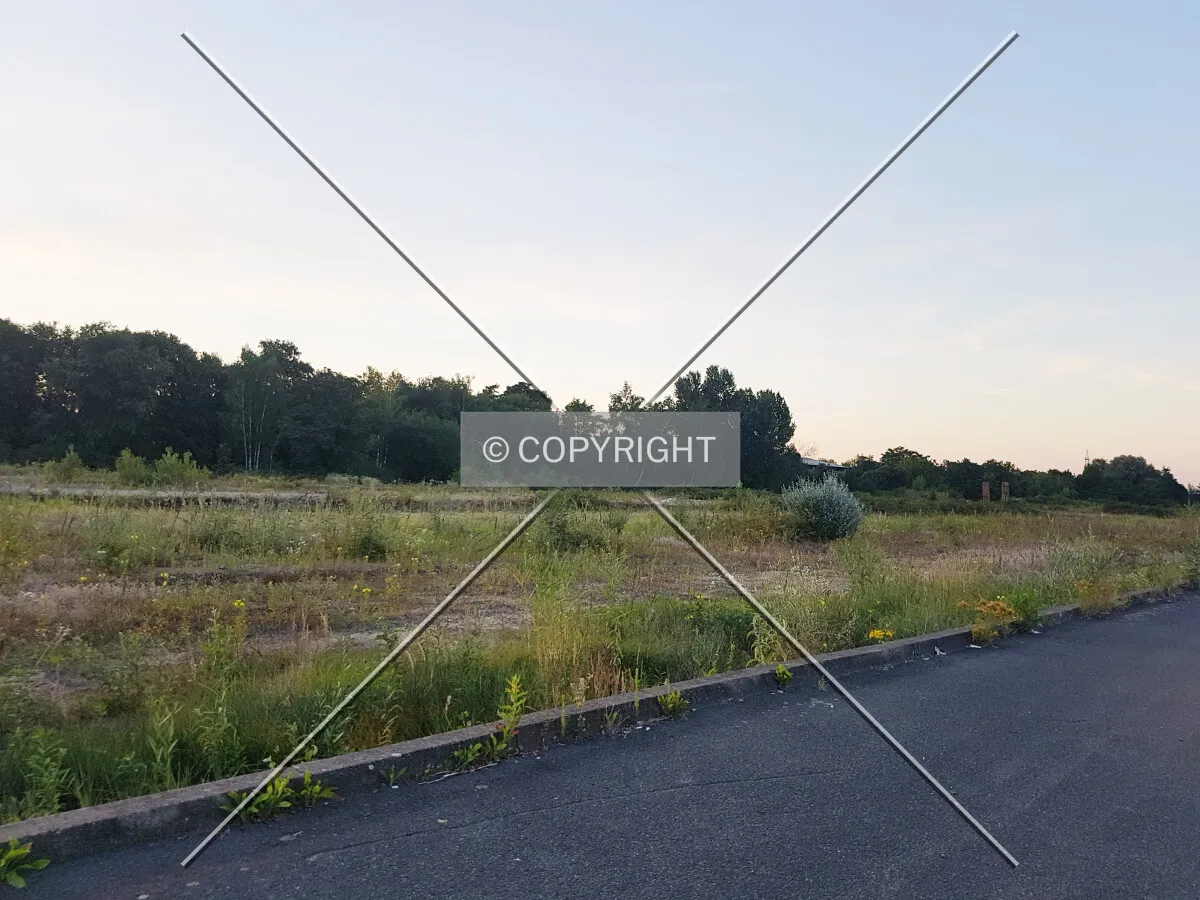 Photo 658-061-819
