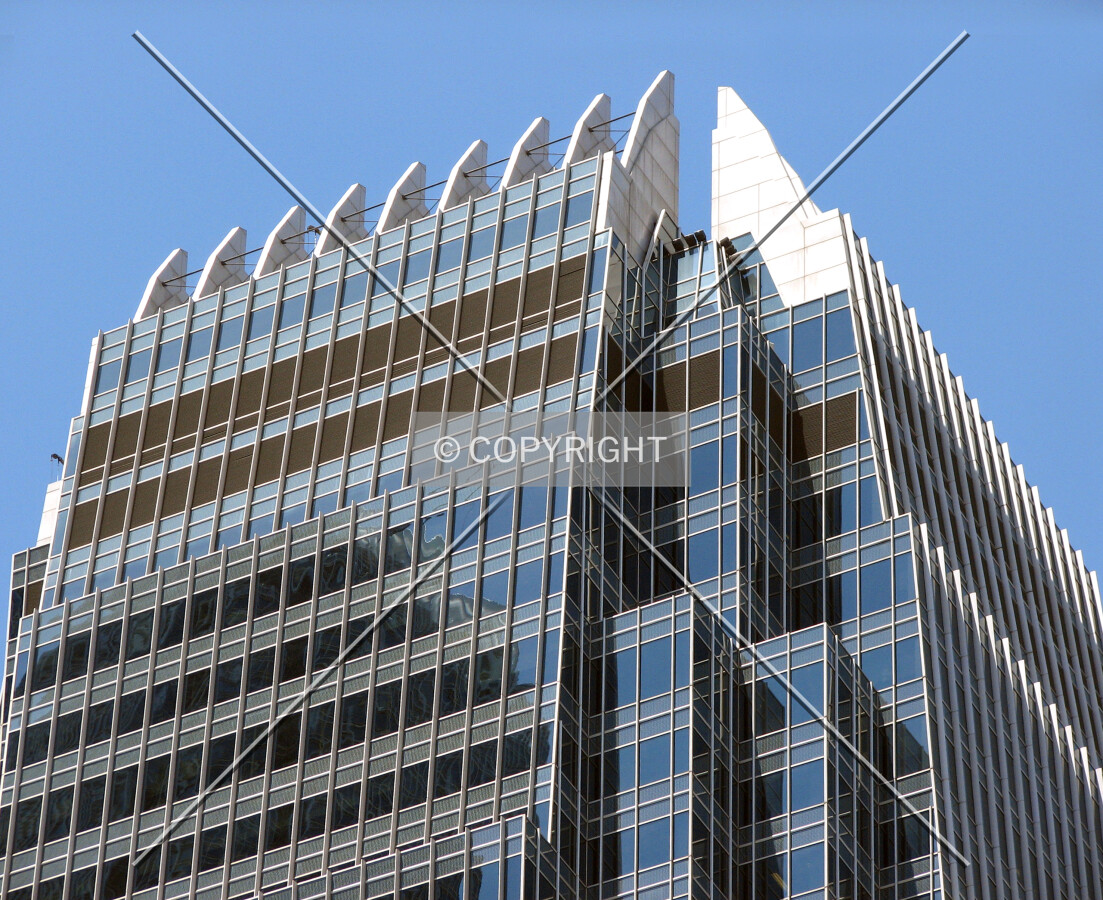 Roof feature
