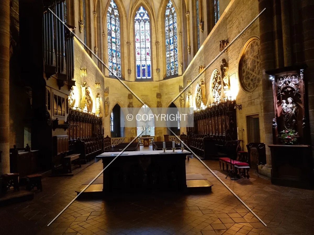 Photo 658-718-264