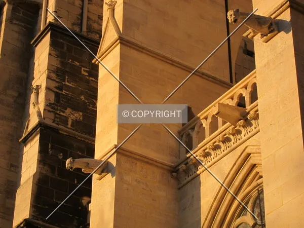 Photo 658-728-531