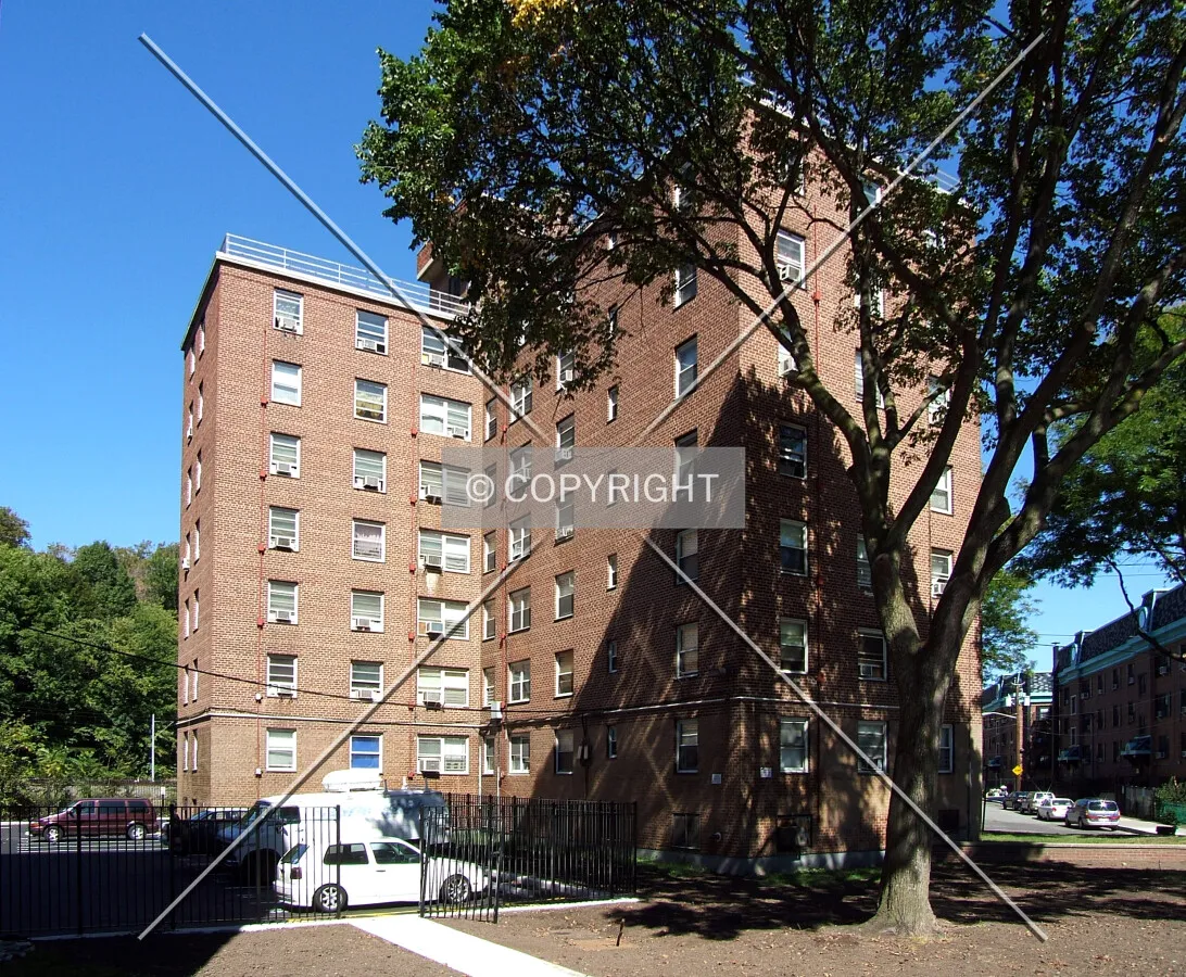 View from the south