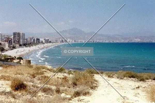 Photo 658-974-088