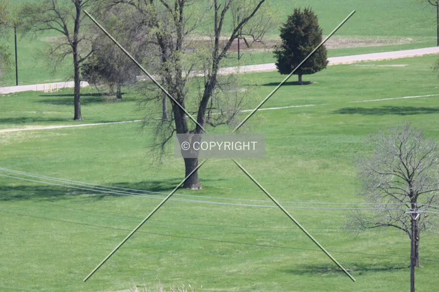 Photo 659-394-267