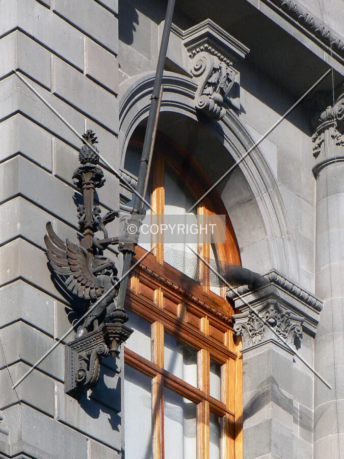 Looking up to a southern window