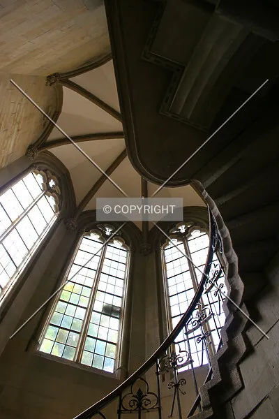 Photo 659-648-573