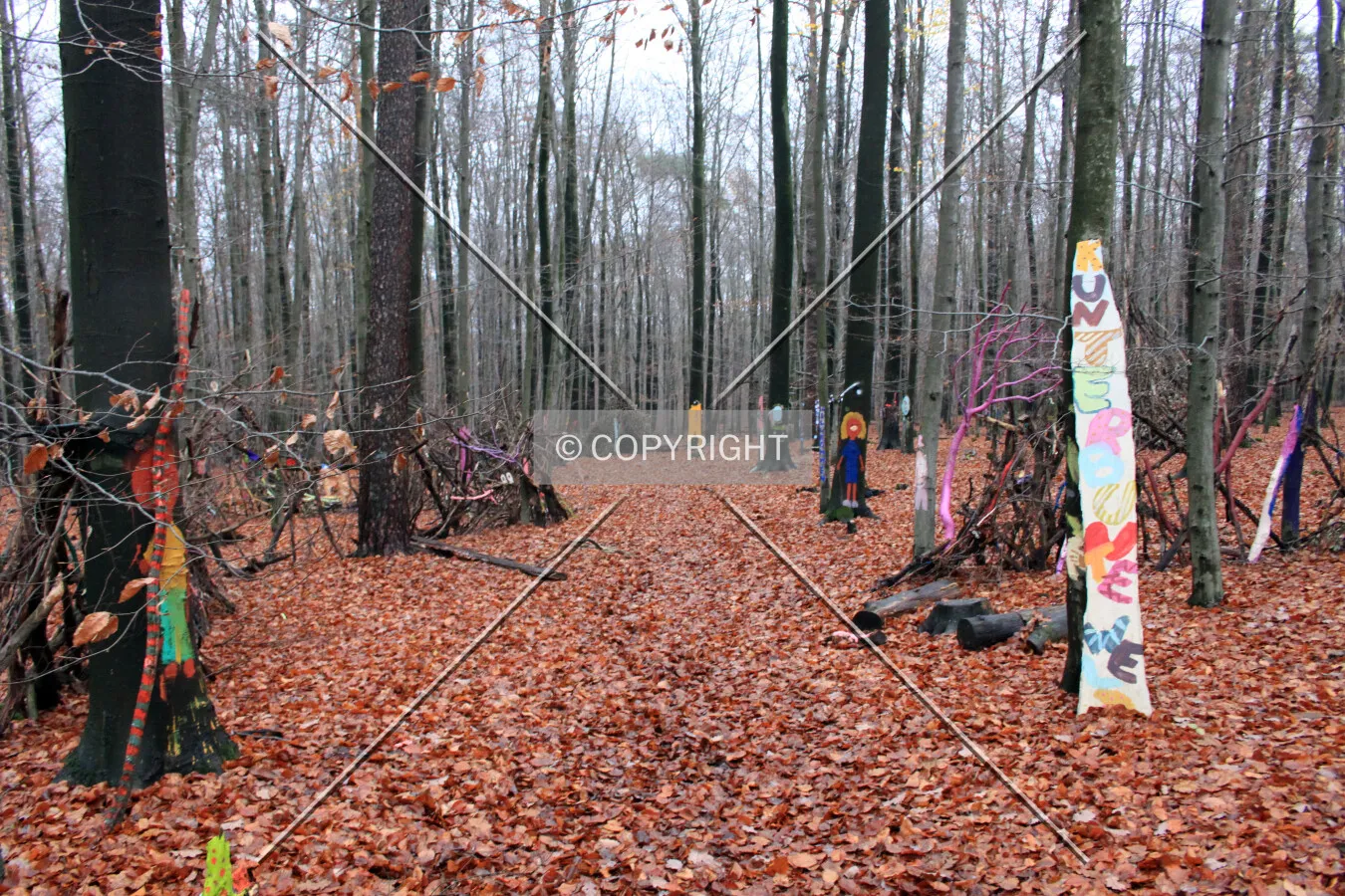 Painted forest