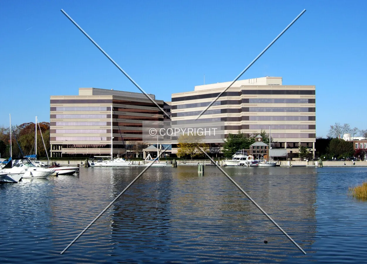 View from the southeast