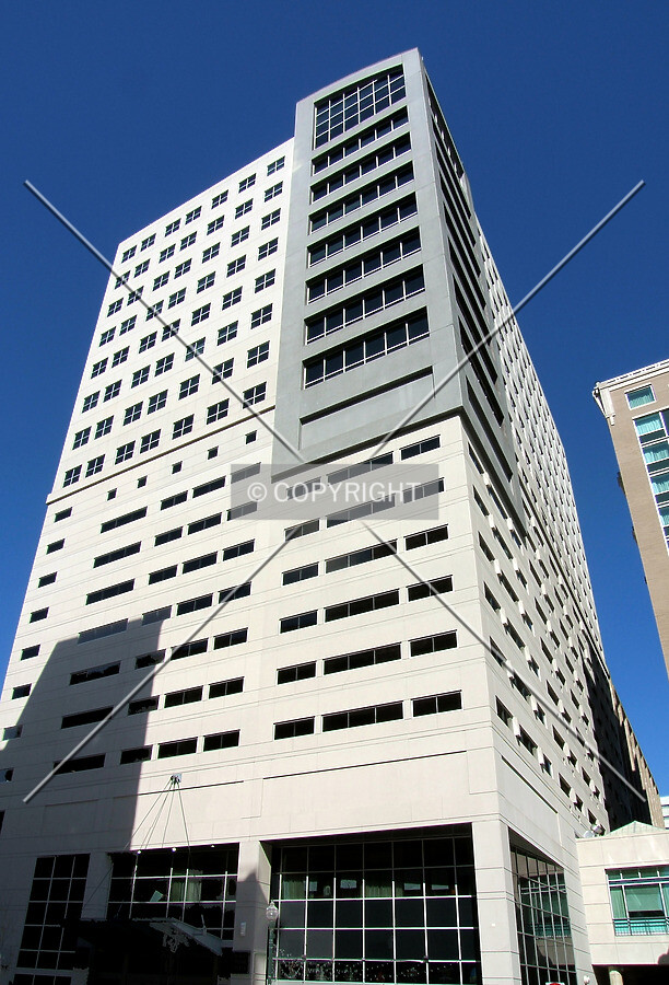 View from the south