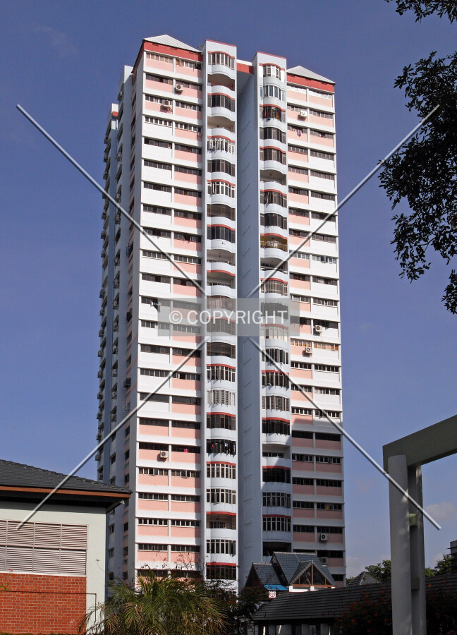 View from the south