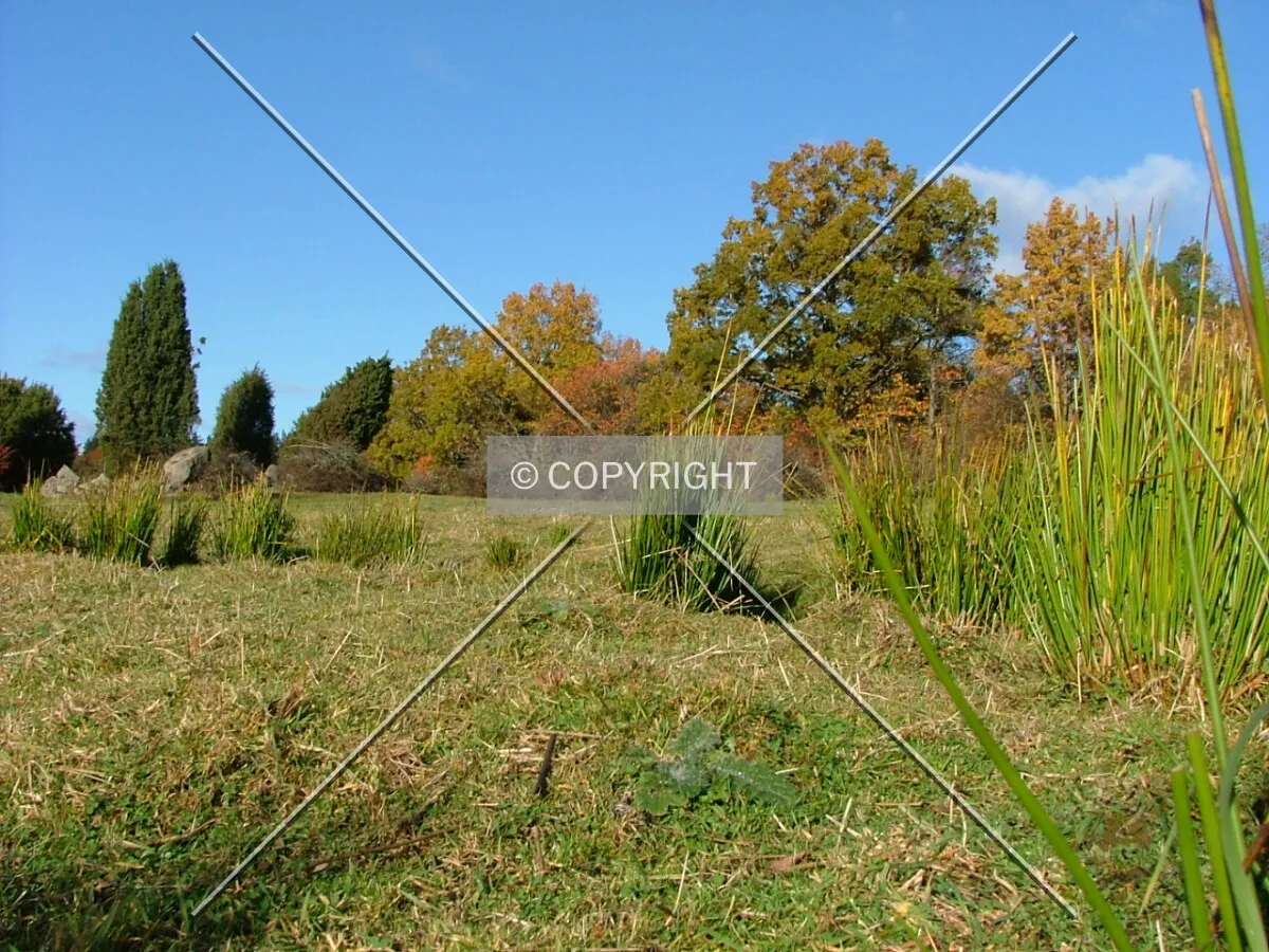 Photo 066-016-978