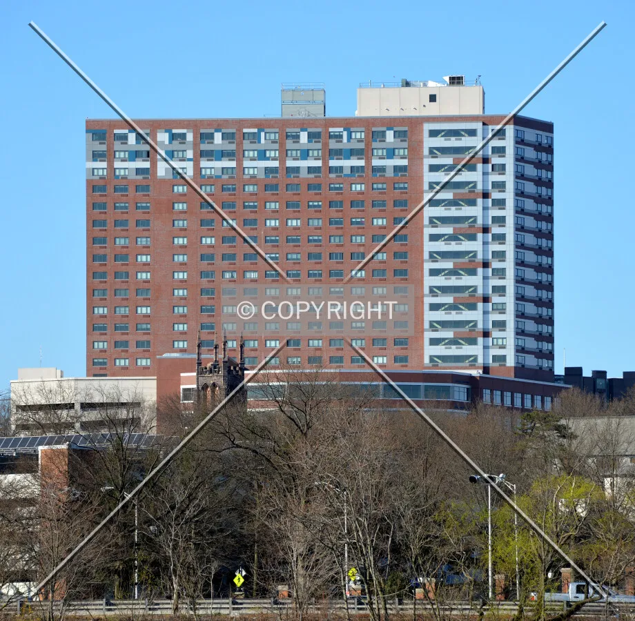 View from the northeast
