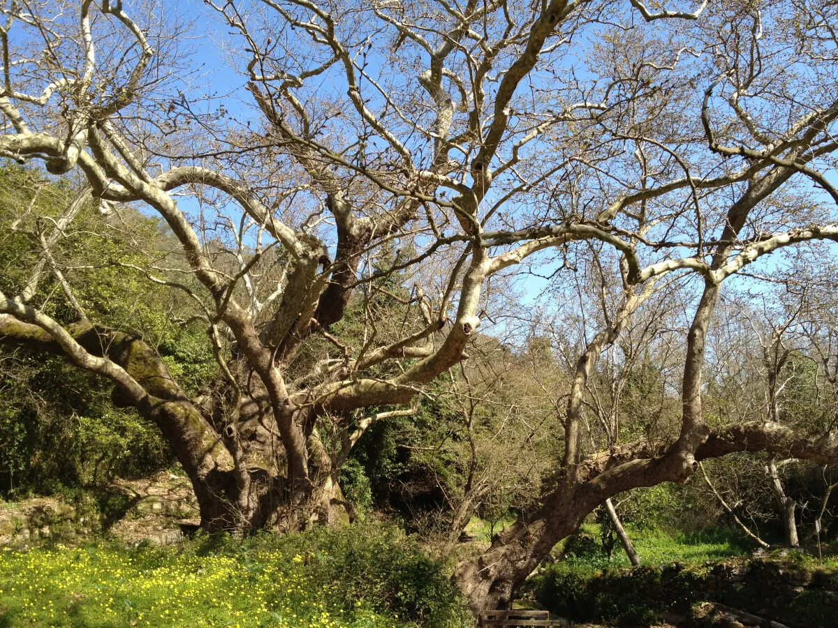 Photo 660-406-082