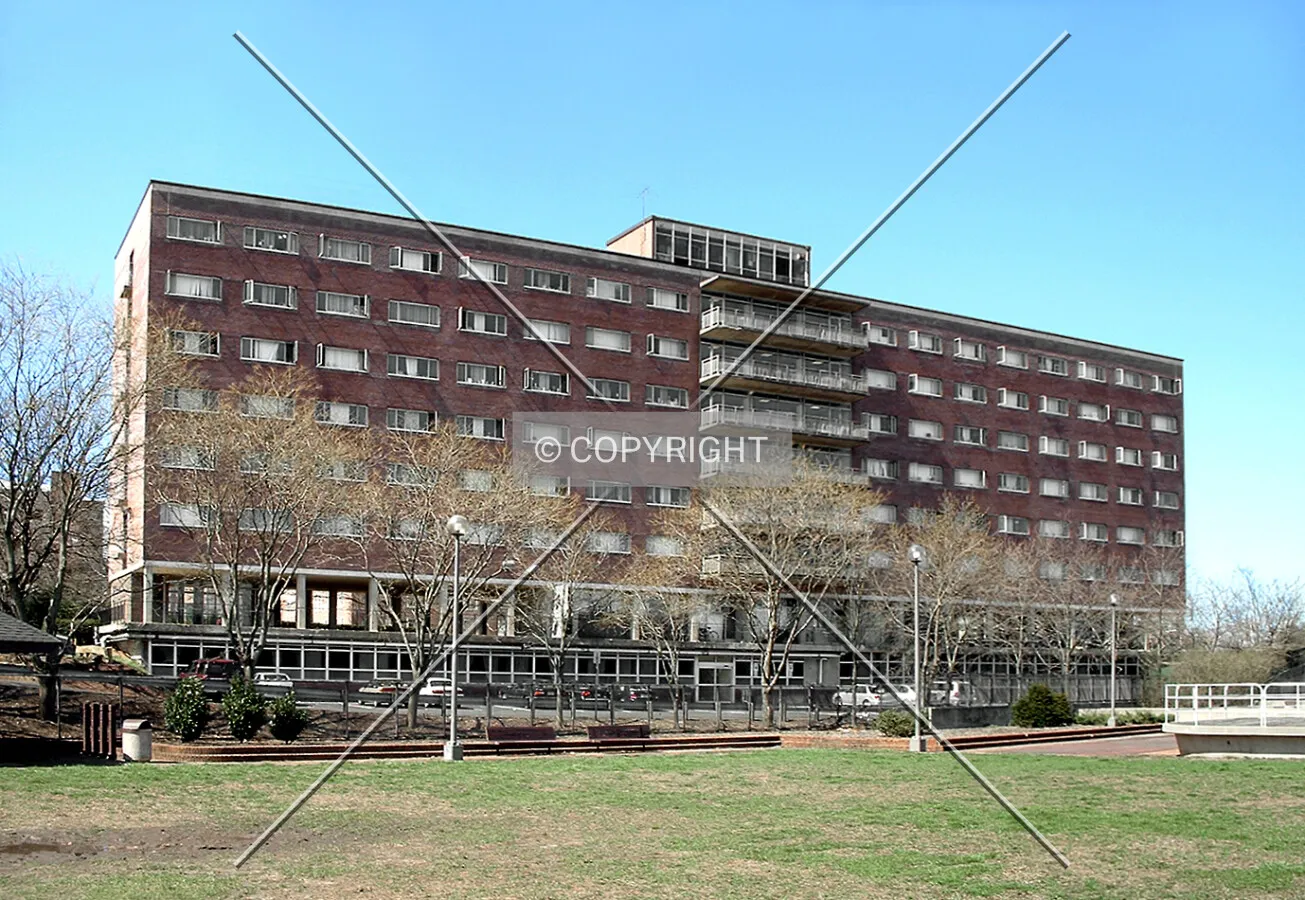 View from the east