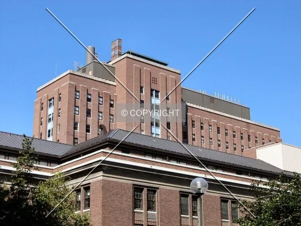 Top floors from the southeast