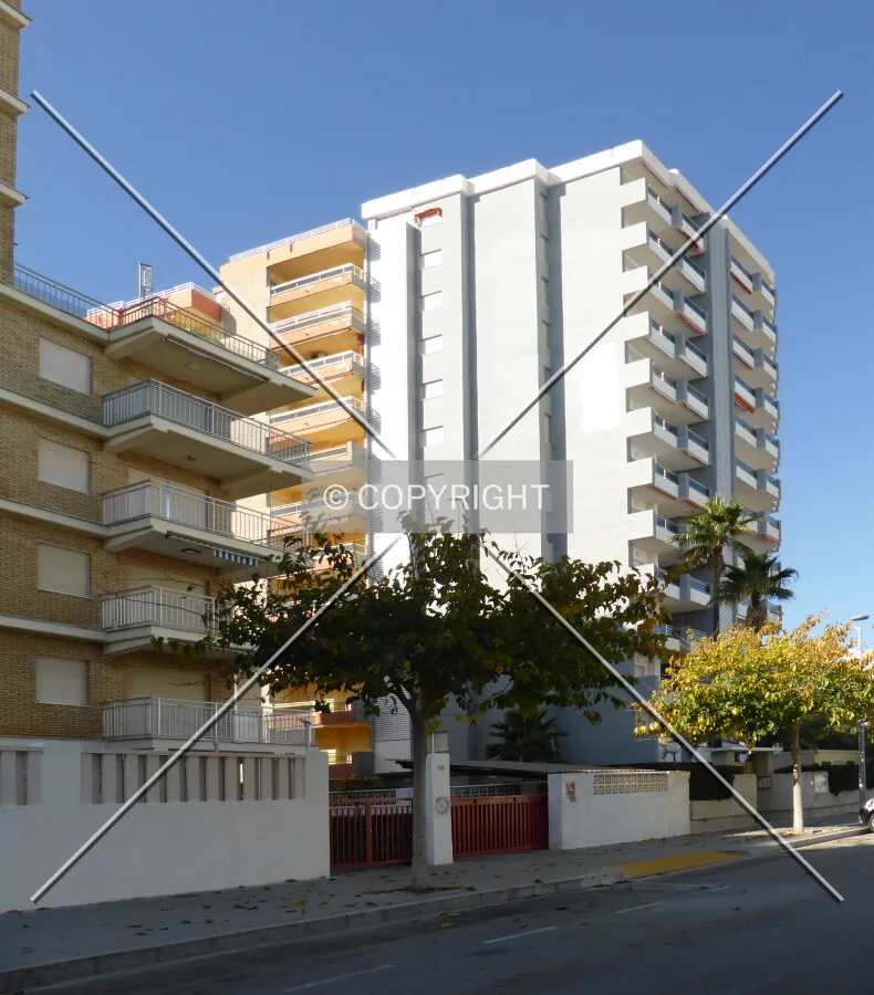 Photo 661-141-385