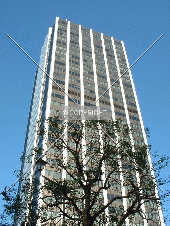 Full frontal with tree