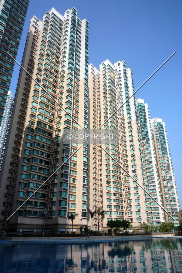 Photo 662-310-555