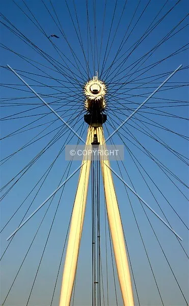 Photo 066-235-921