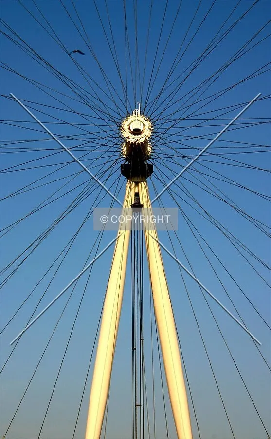 View of the wheel's spokes, centre spindle, A-frame and a seagull