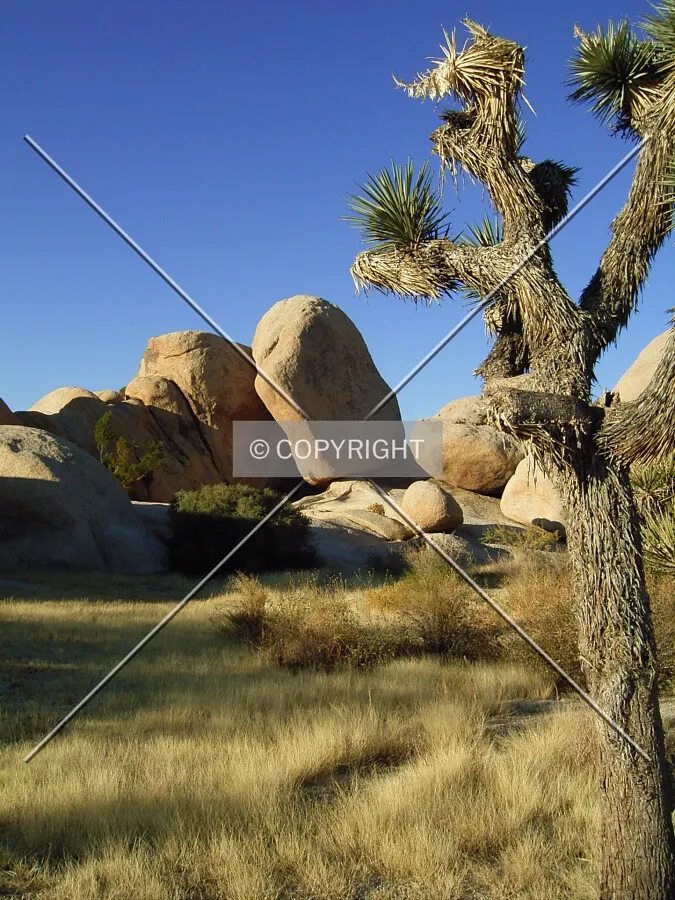 Photo 662-636-373