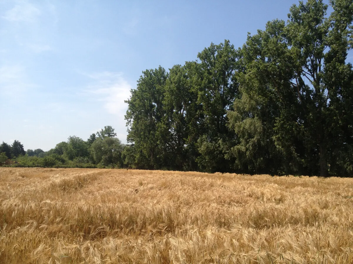 Photo 066-278-018