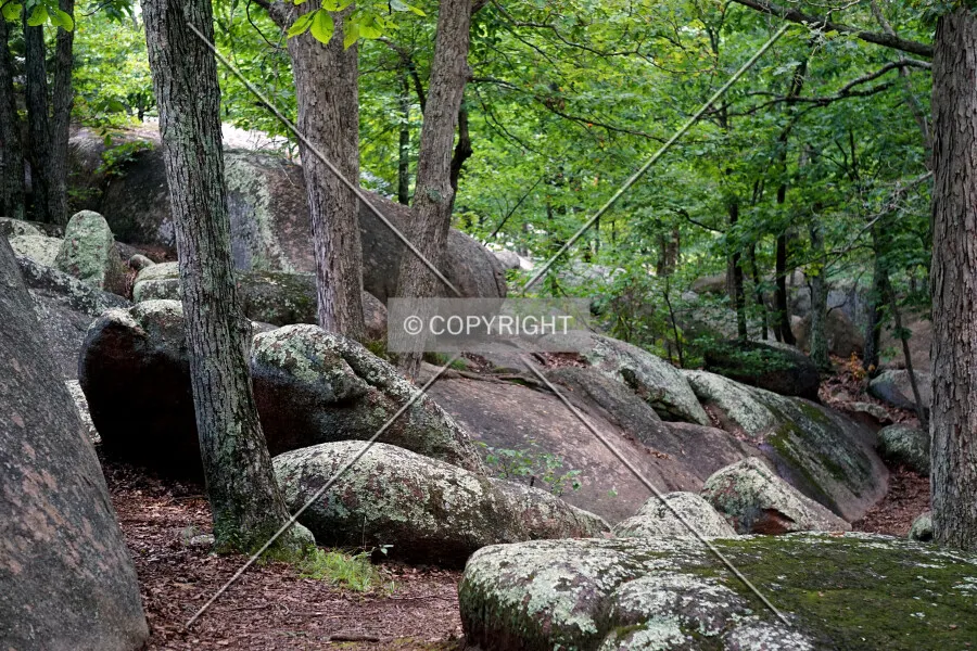 Photo 662-781-418