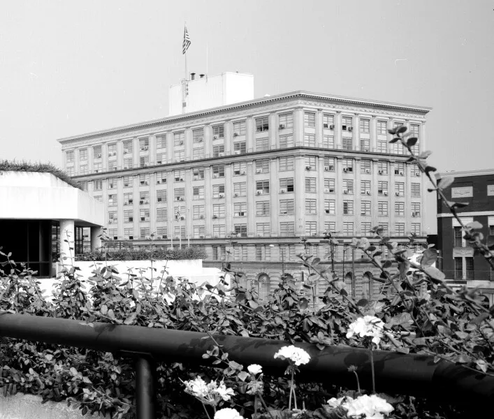 Photo 663-303-681