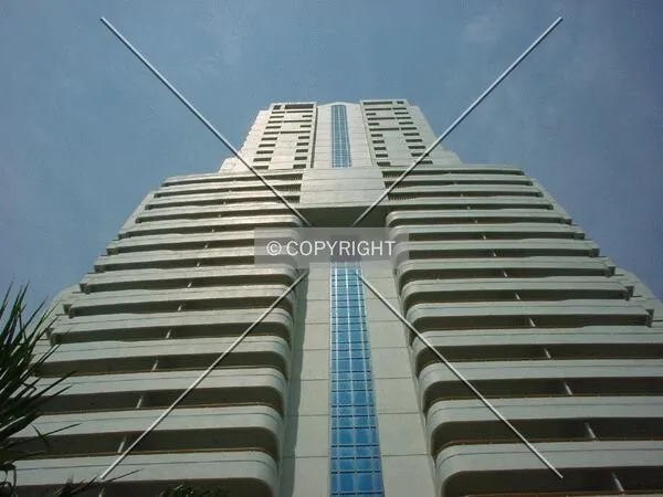 View to the top