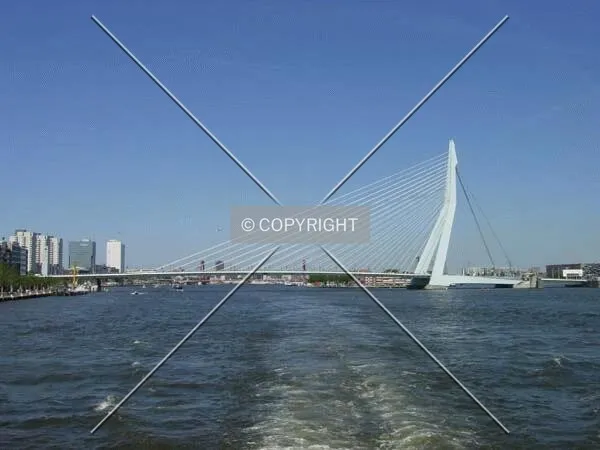 Erasmus bridge seen from an excursion ship